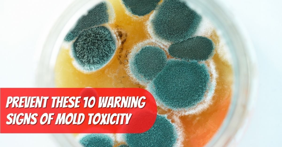 10 warning signs of mold toxicity